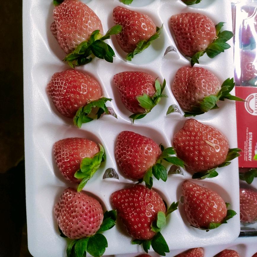 徐州草莓代办      王梦楠