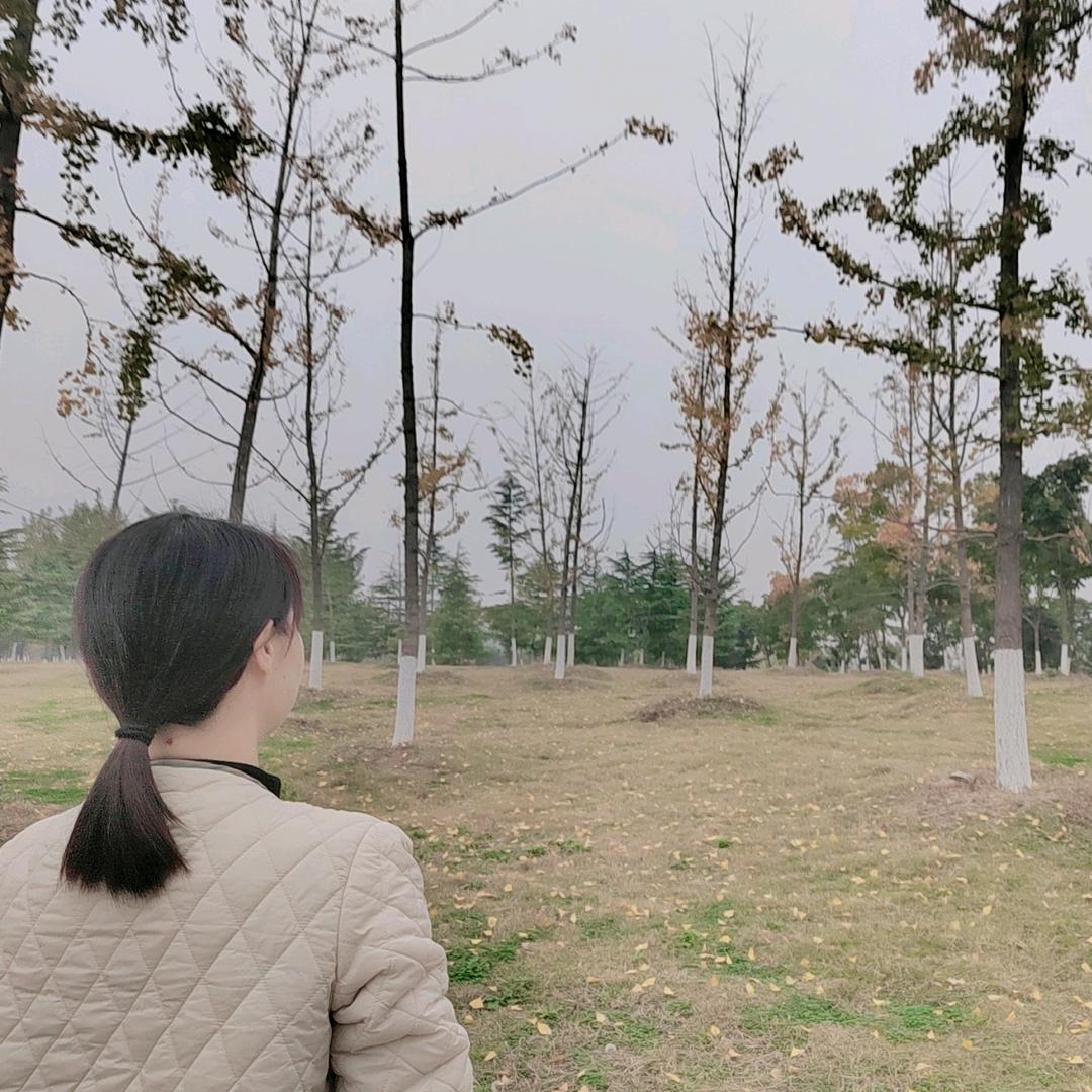 不粘人的棉花糖
