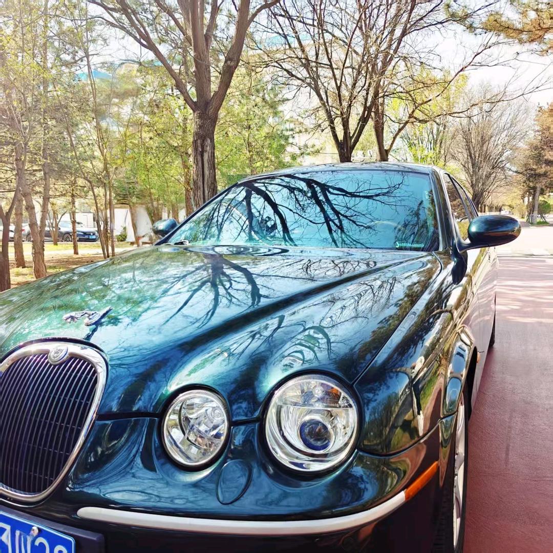 随风自由
