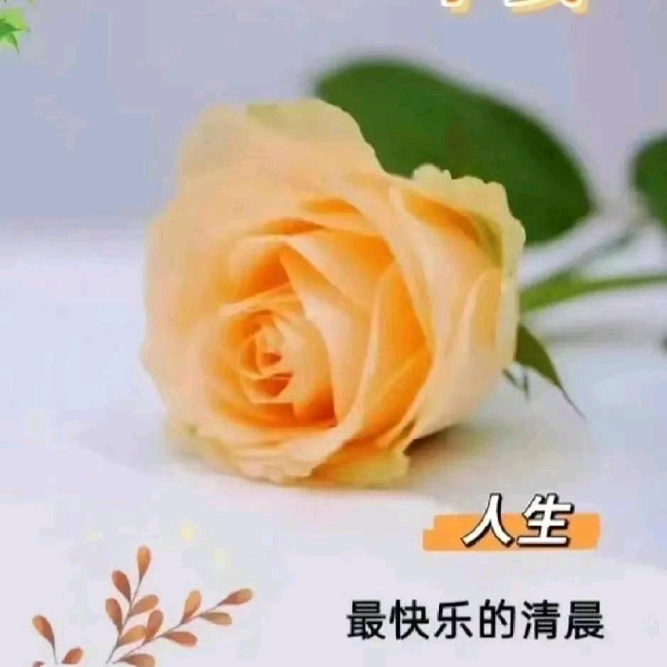 山清水秀（拒绝私聊，请理解。）