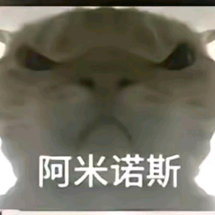 张天成