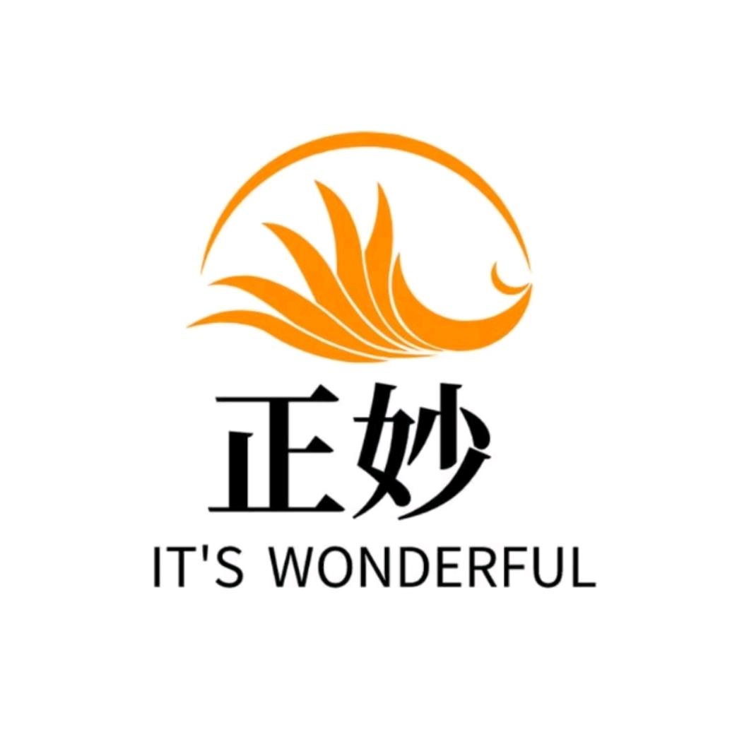 正妙家居旗舰店授权号