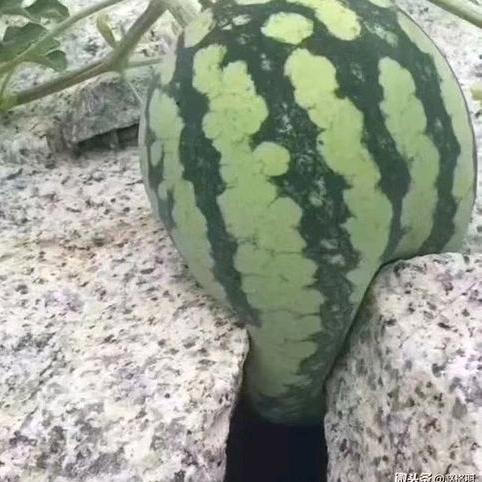 悠然自得