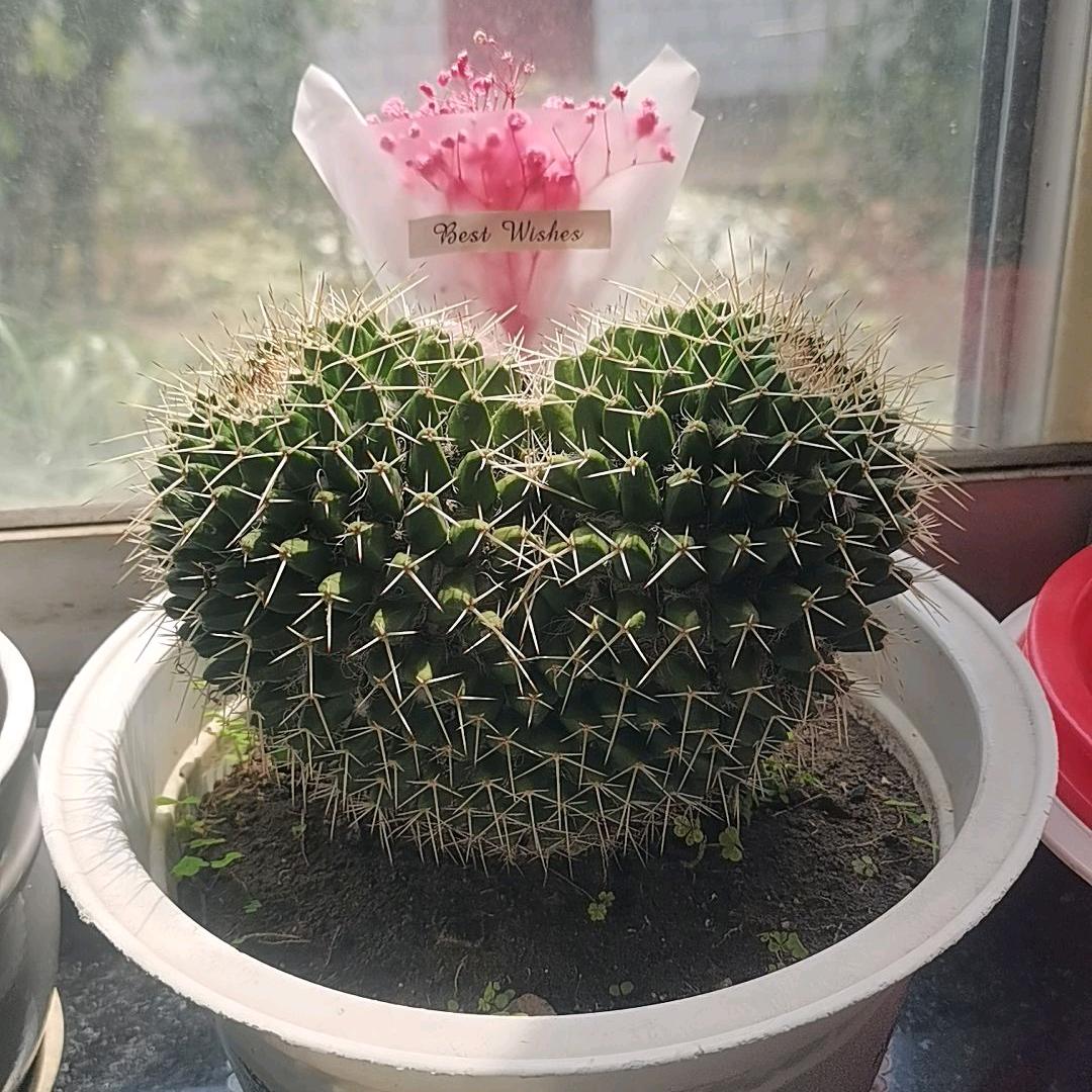 ℳ̶̶̶̶♡̶҉妍希ℳᥫᩣ