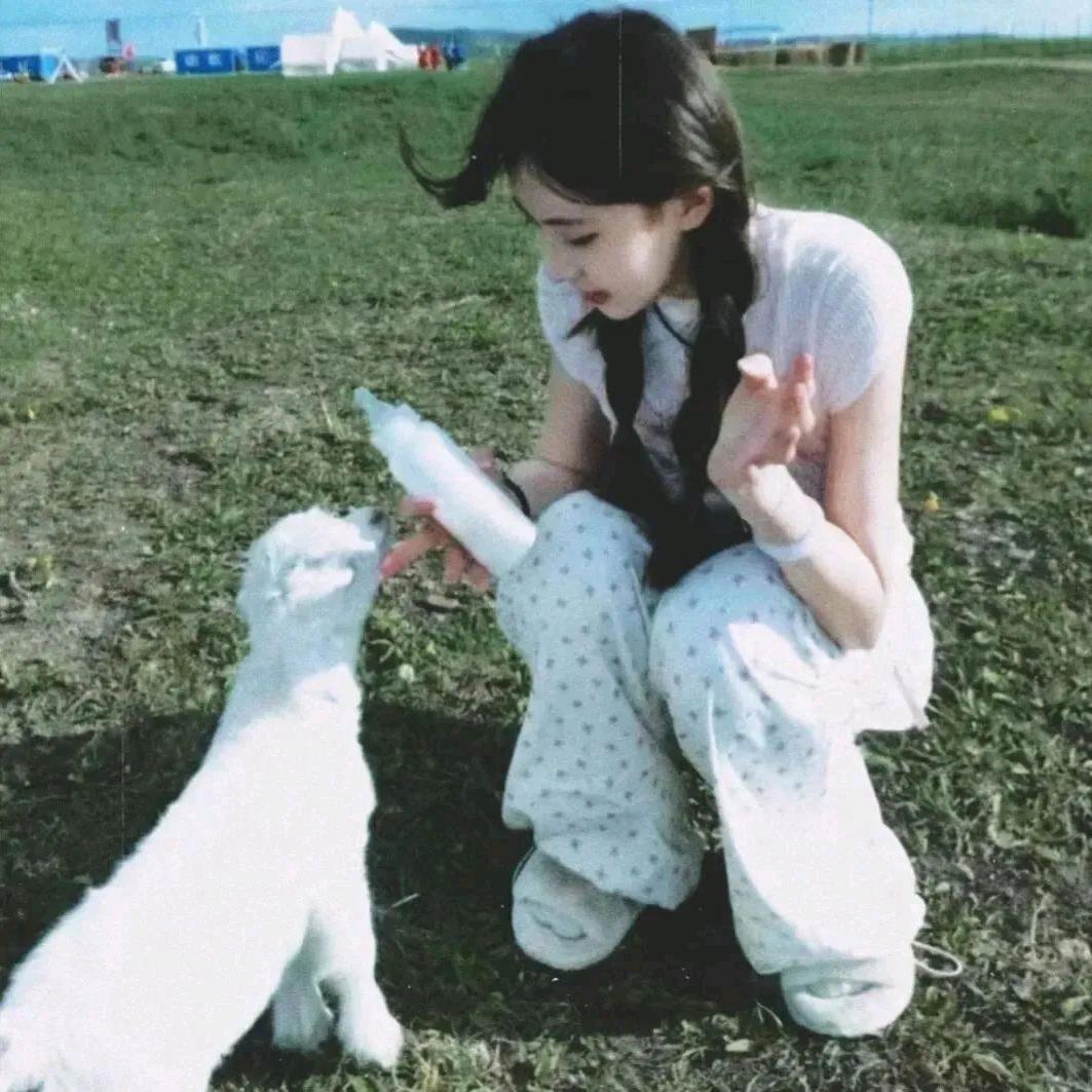 生如冬花°