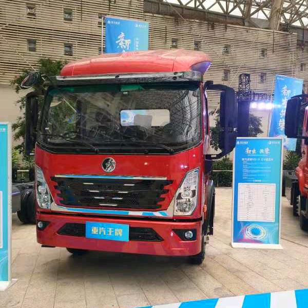 宁波瑞狮–重汽王牌