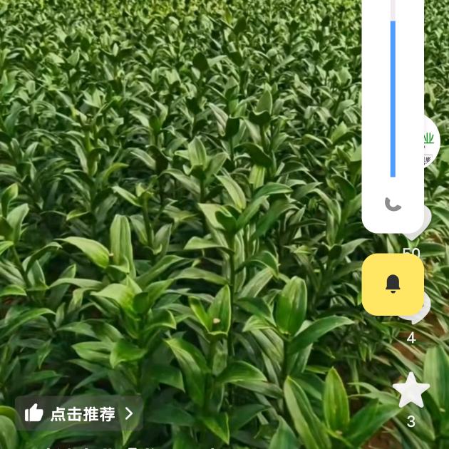 😊😊😊😊😊😊