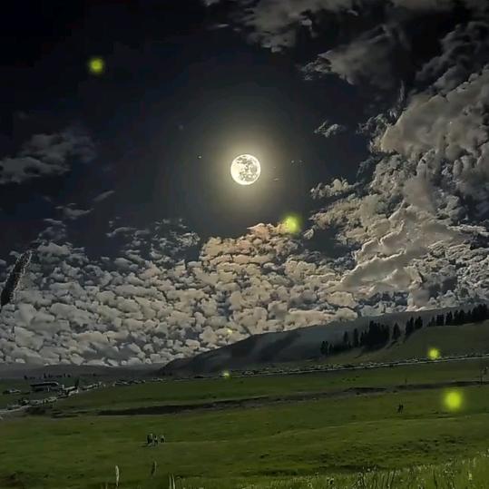 &懂