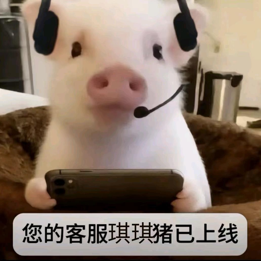 小呆呆头像