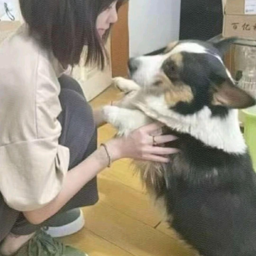 ℡薛定谔的猫