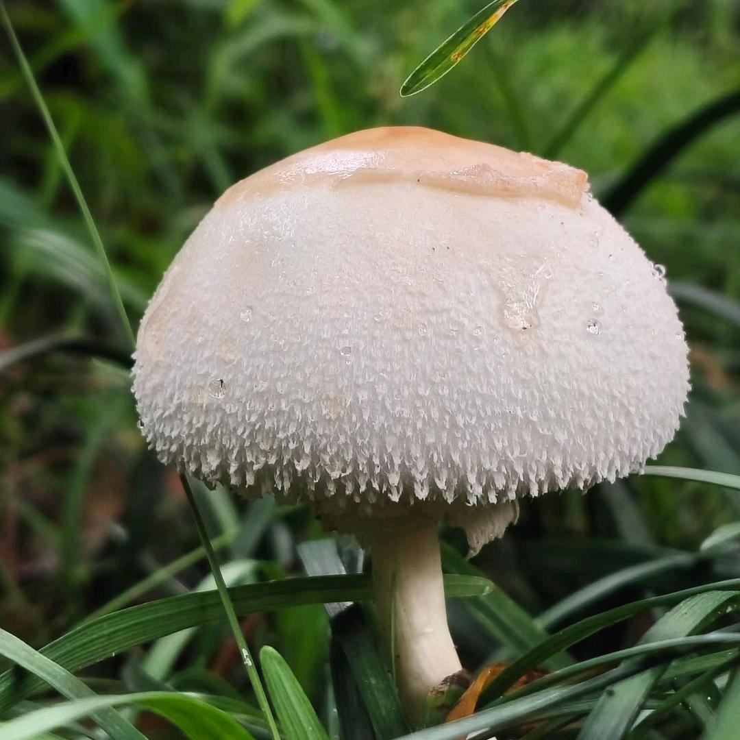 风雨同舟