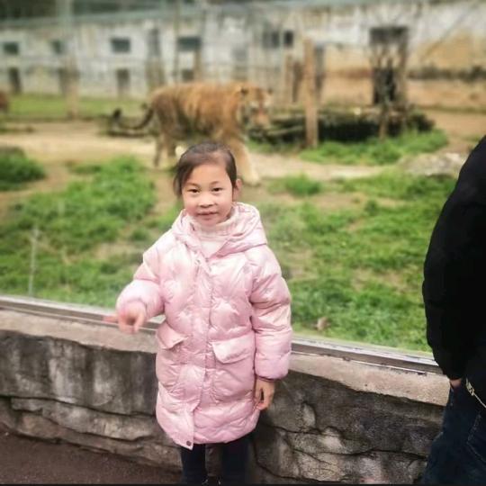 开开  https://v.douyin