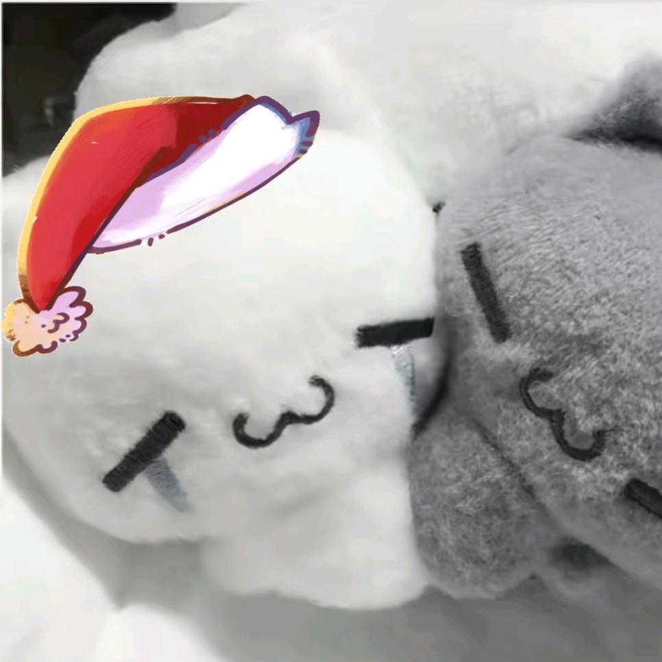 17¹⁰⁰³