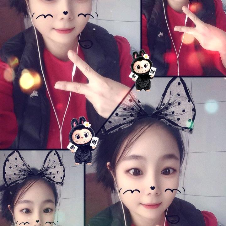 呆呆鸟