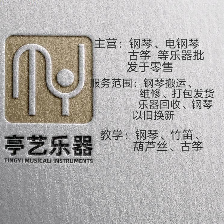 教乐器的陈老师