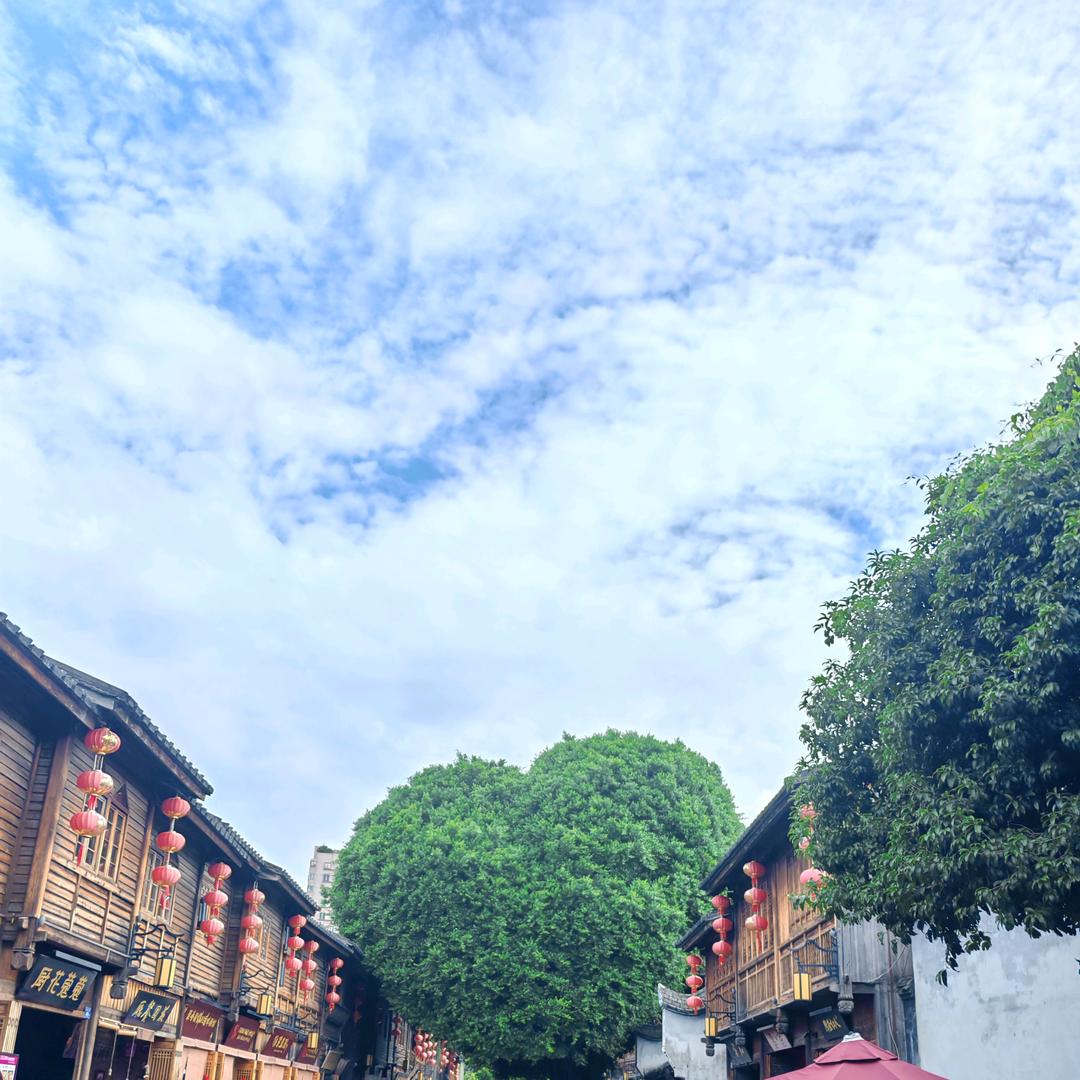 凡尘ཽ清心🍃༊