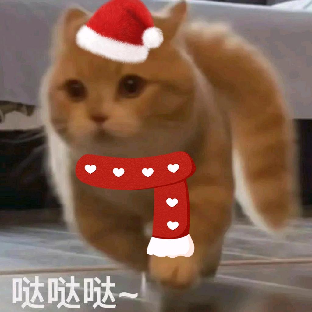 我管啥