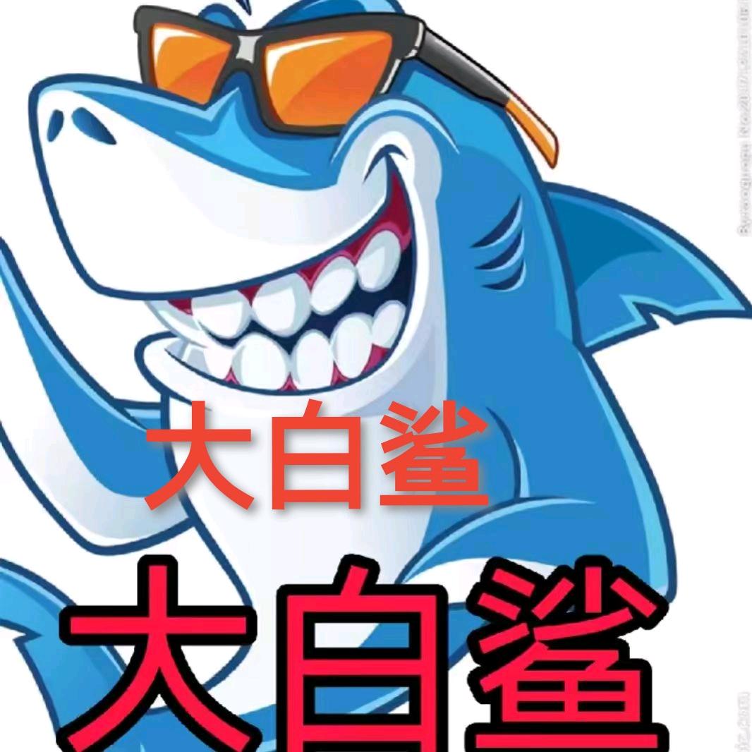 大白鲨@