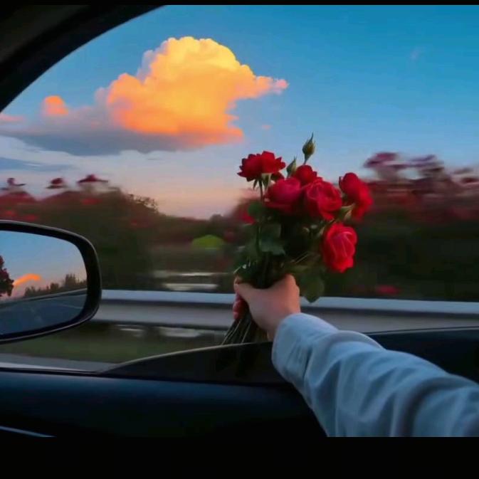 我见众生皆草木