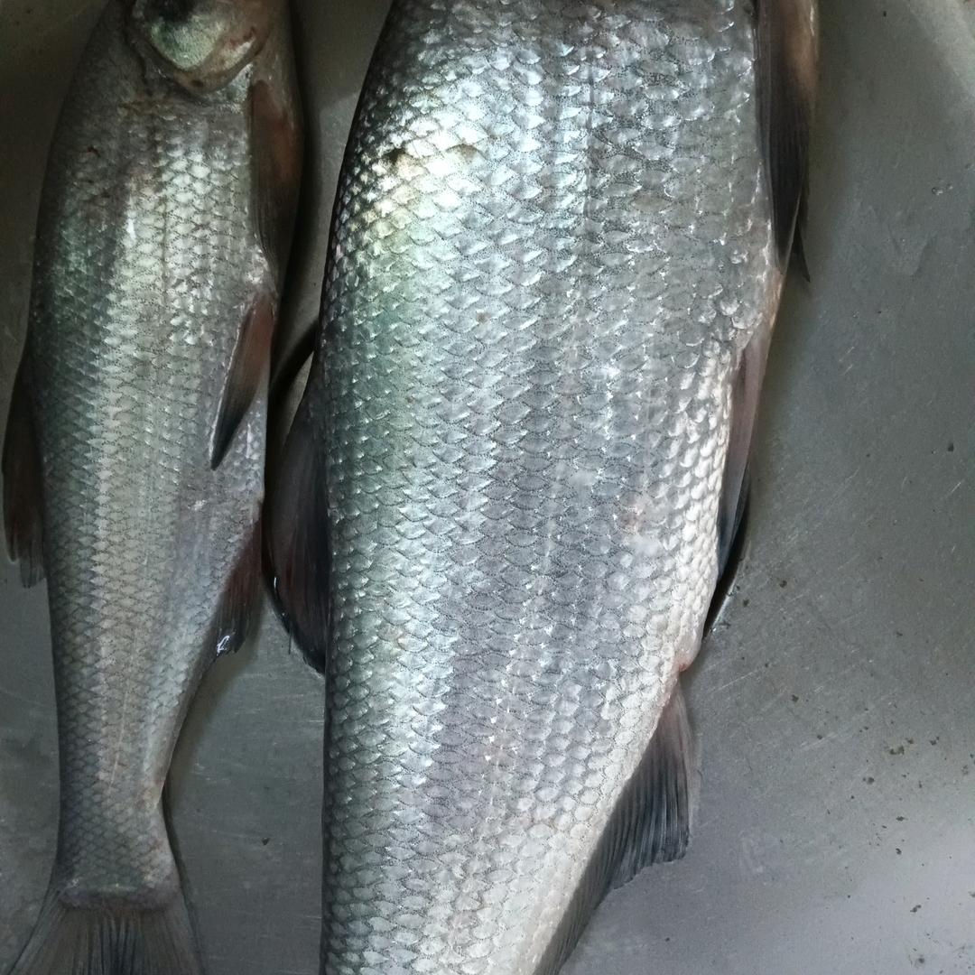 🌈💨,心想事成🌈💨