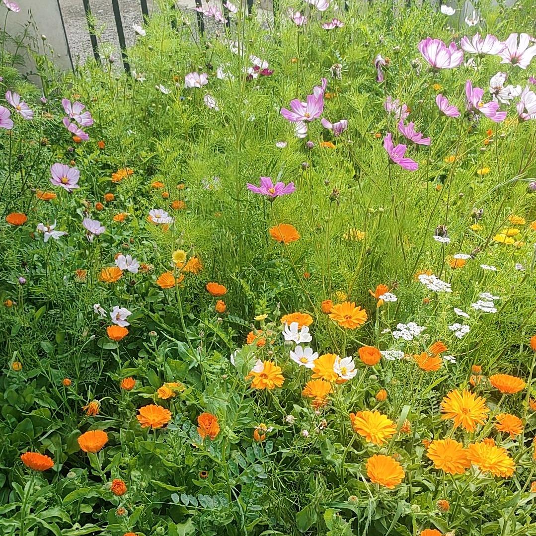 🎣🐡兜兜有米🐠🦞