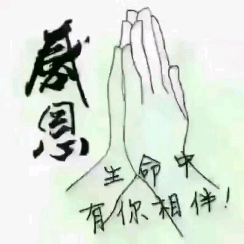 感恩所有