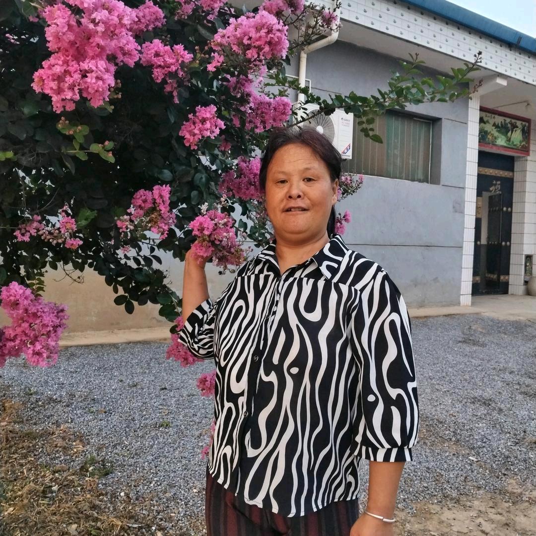 阖家幸福256下午16点50分开