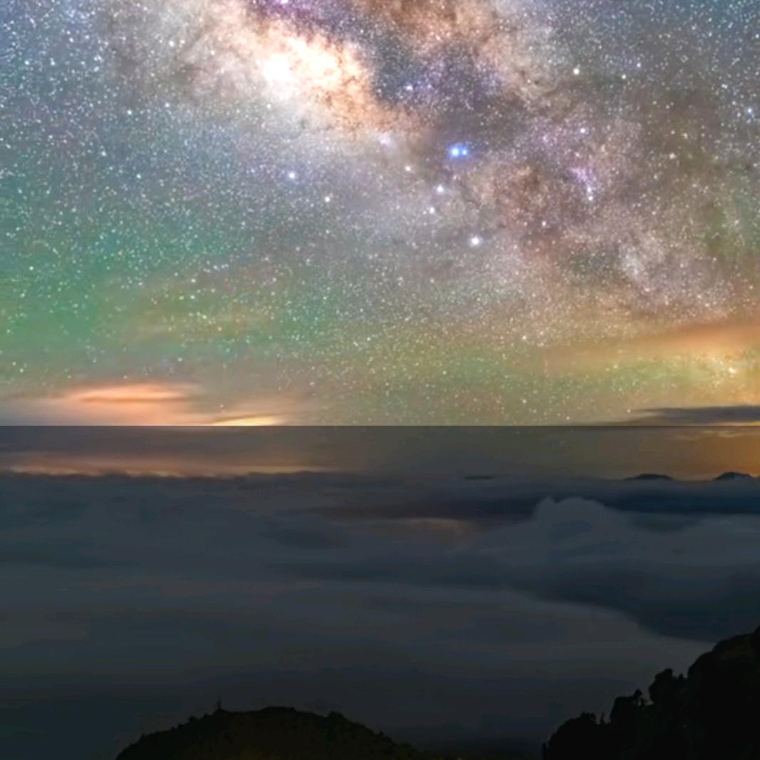 我姓王、却始终忘不掉你