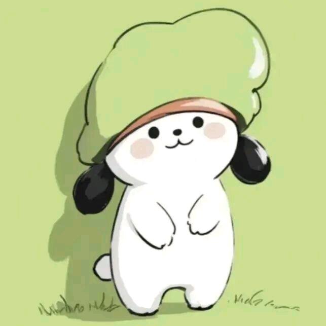 钟美美头像