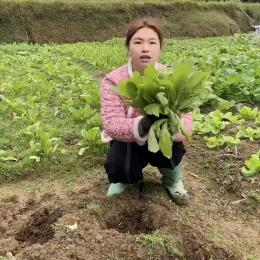 小娜娜🌈