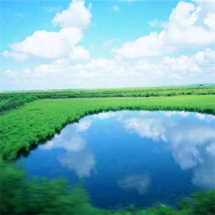孤岛听潮