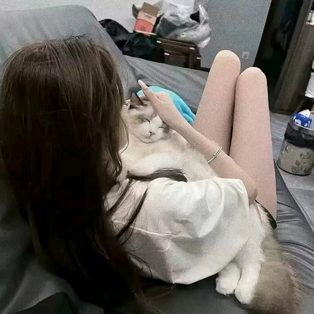 毛毛