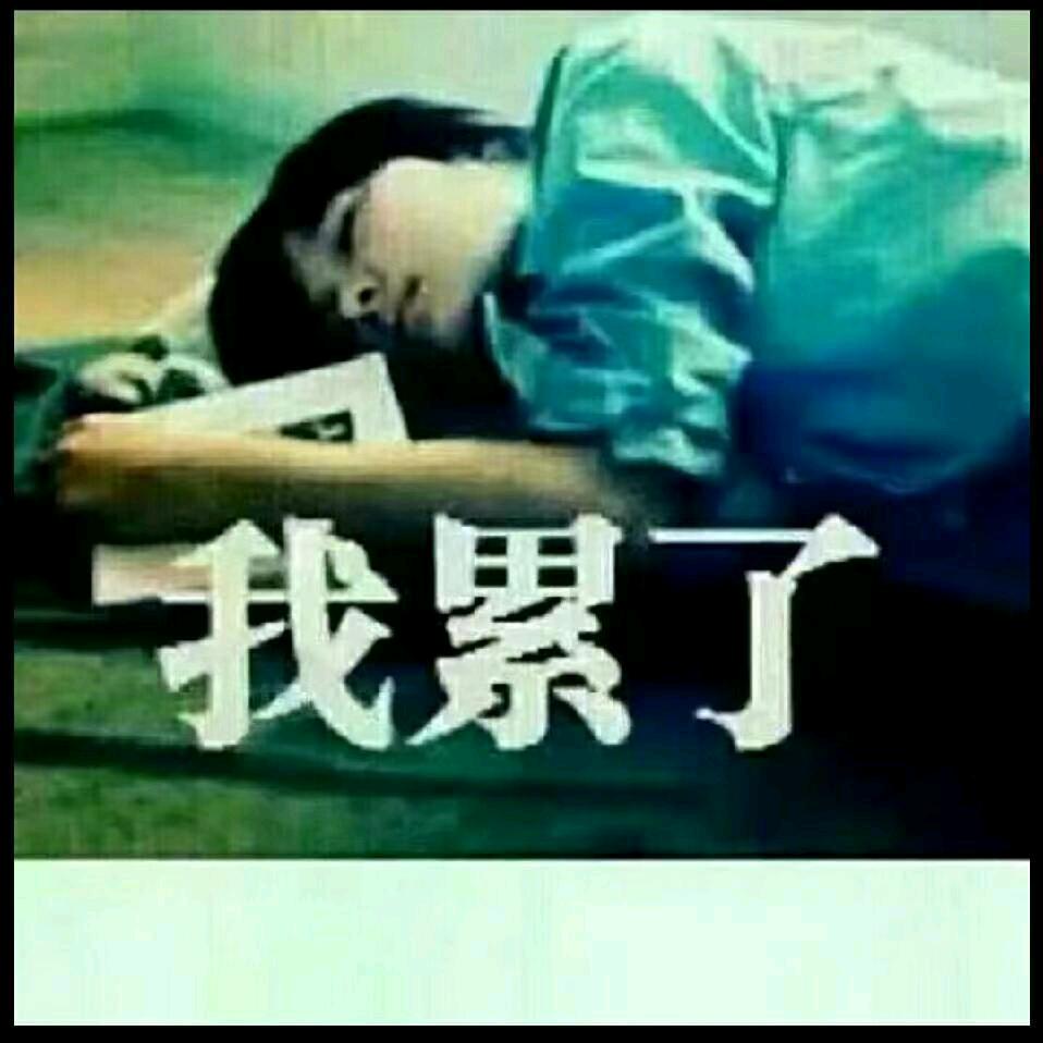 丹丹姐