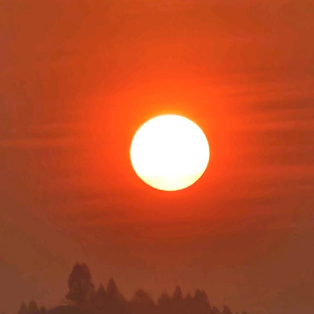 @🚬孤者何惧🚬