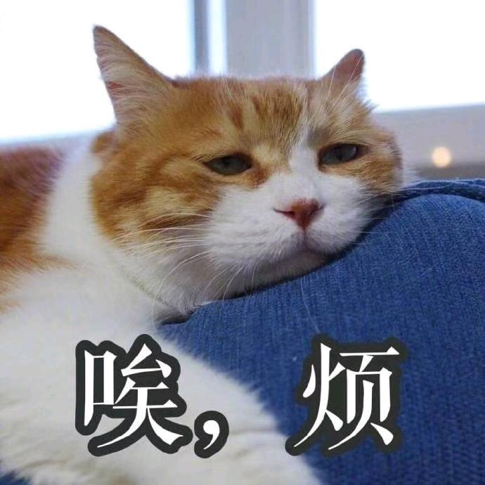 唉(╥ω╥`)