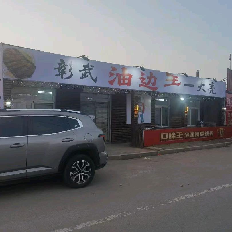 彰武油边王—大亮