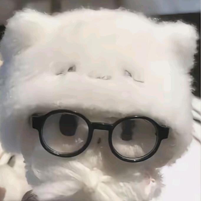 ₊⁺✞ʚ小猫ɞ