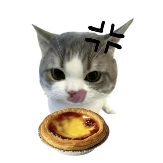 🦫