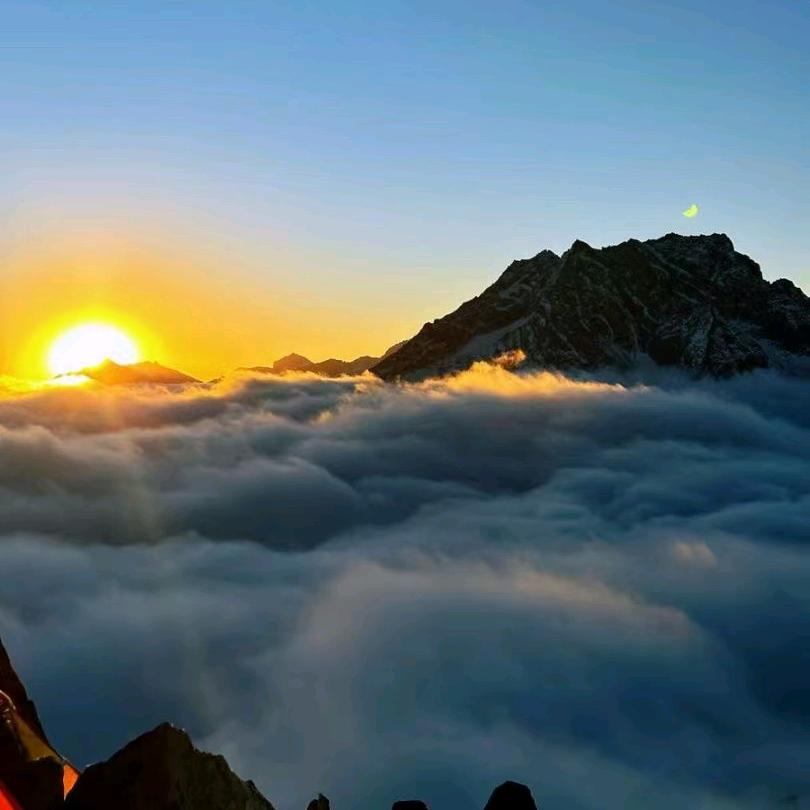 东山起直播