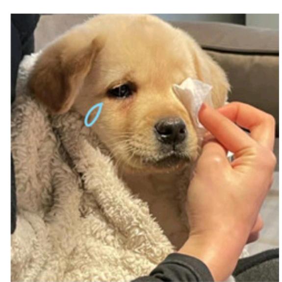 励志成为好牛马