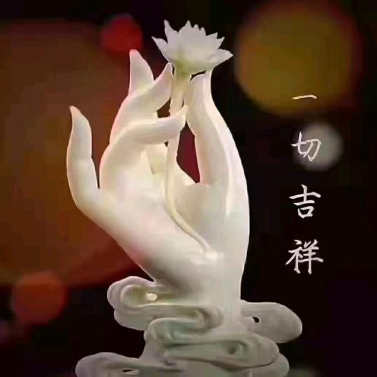 🐬本宫驾到🐬