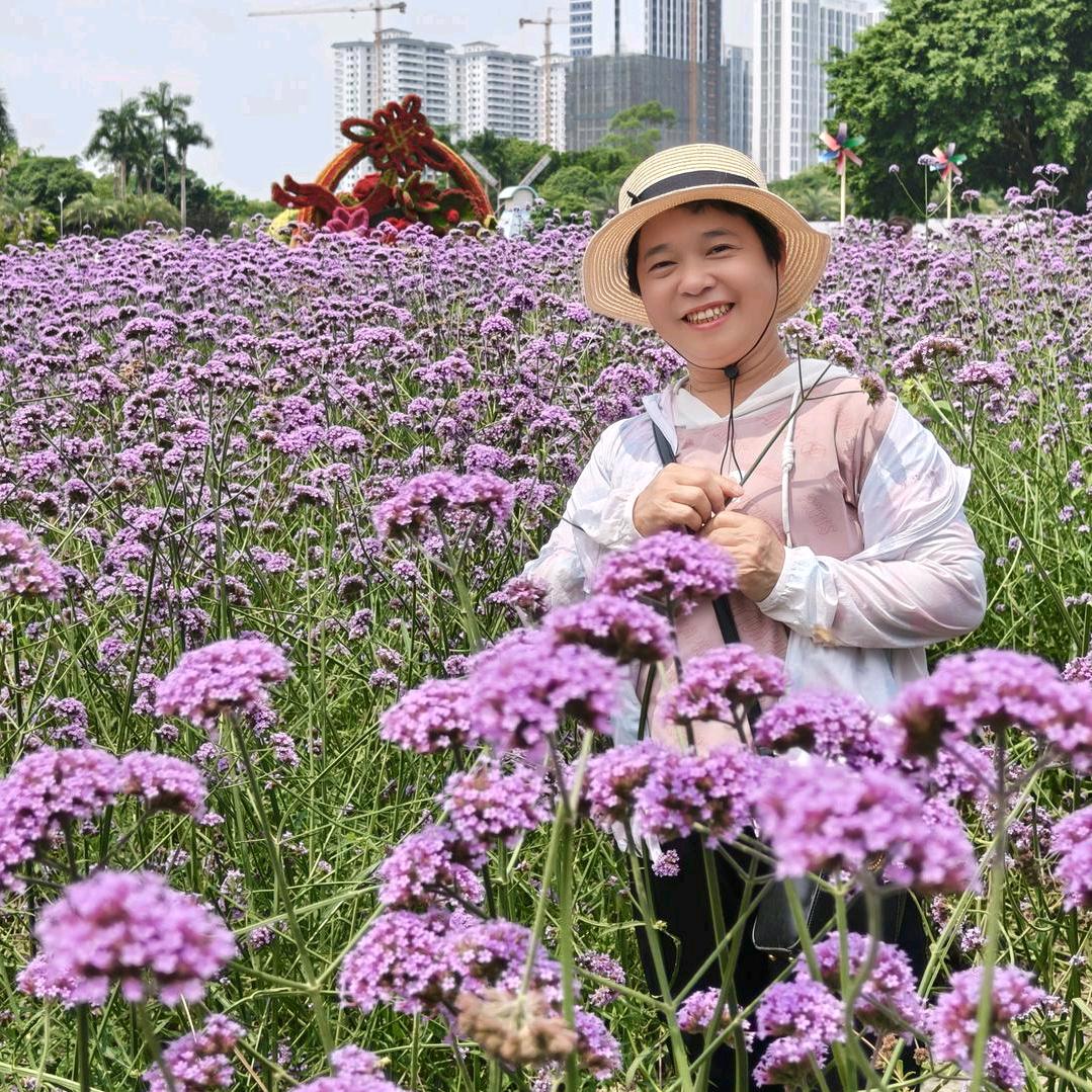 蓝家的虎七妹