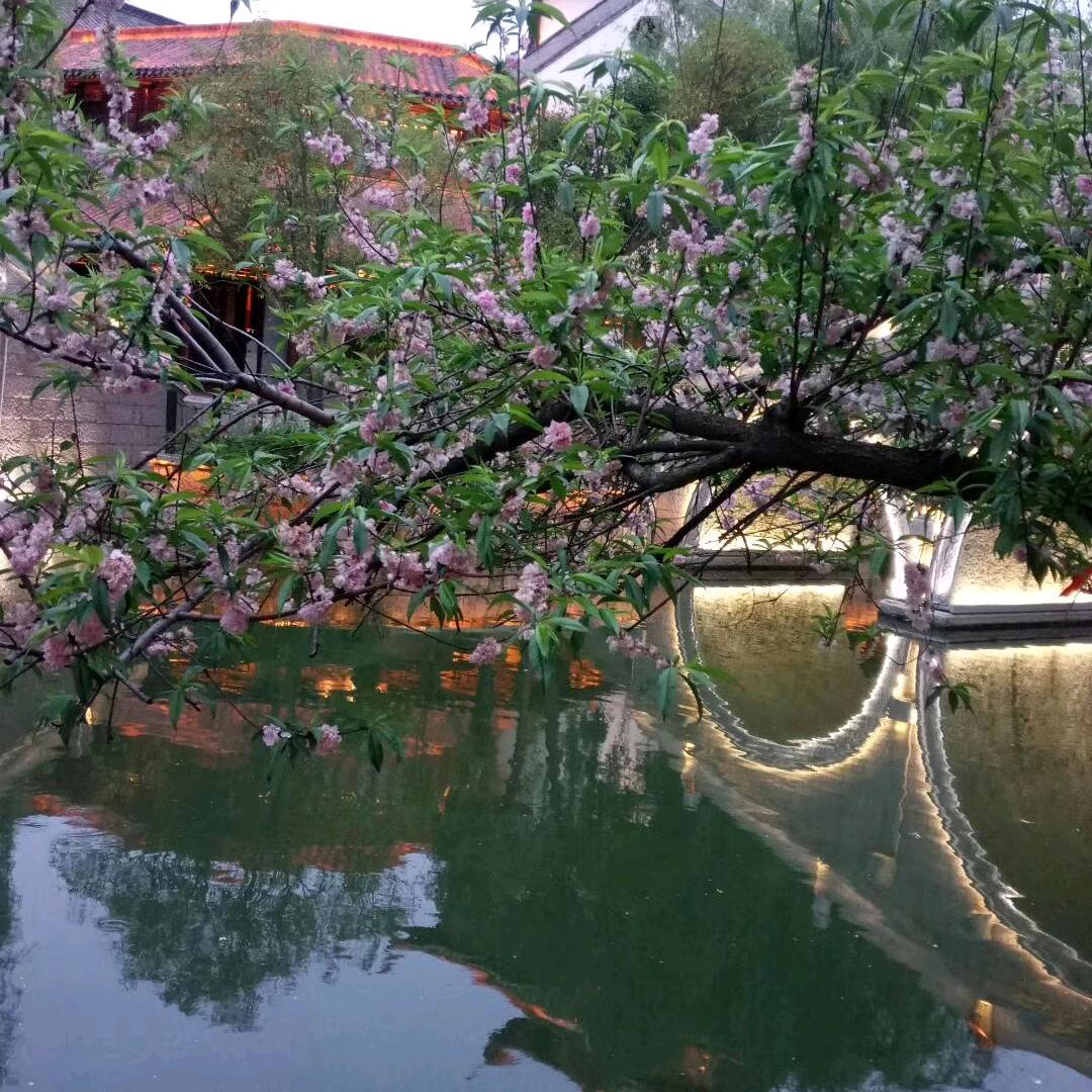 ☔️🌶🌾🛵🎤👄🦚琬晨