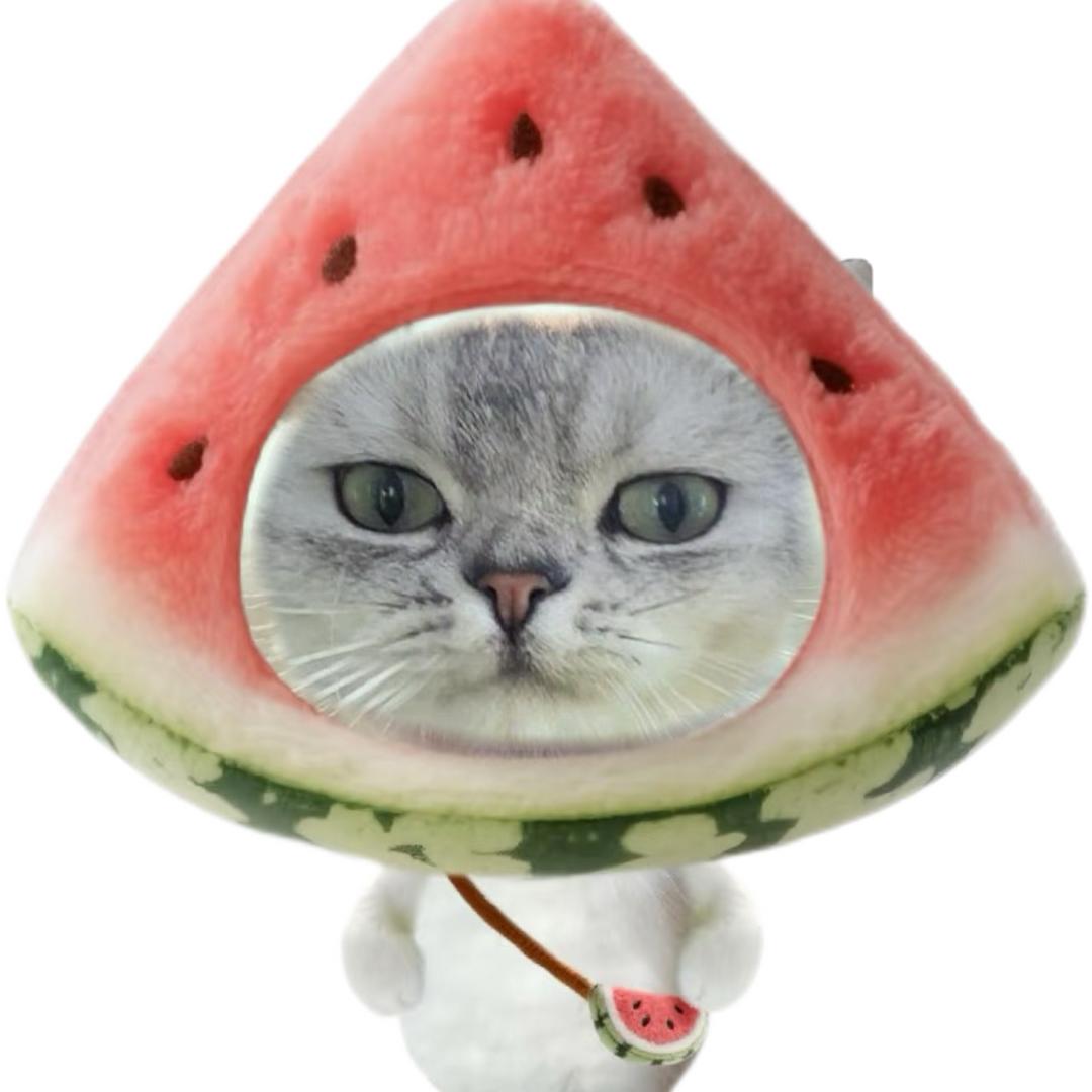 西瓜养猫了