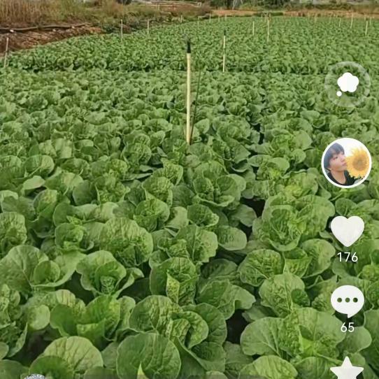 一个人的相濡以沫