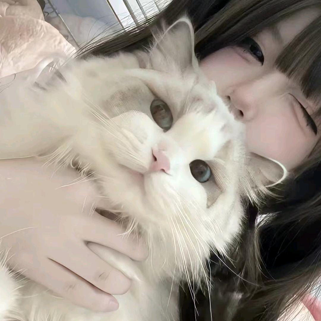 初遇_