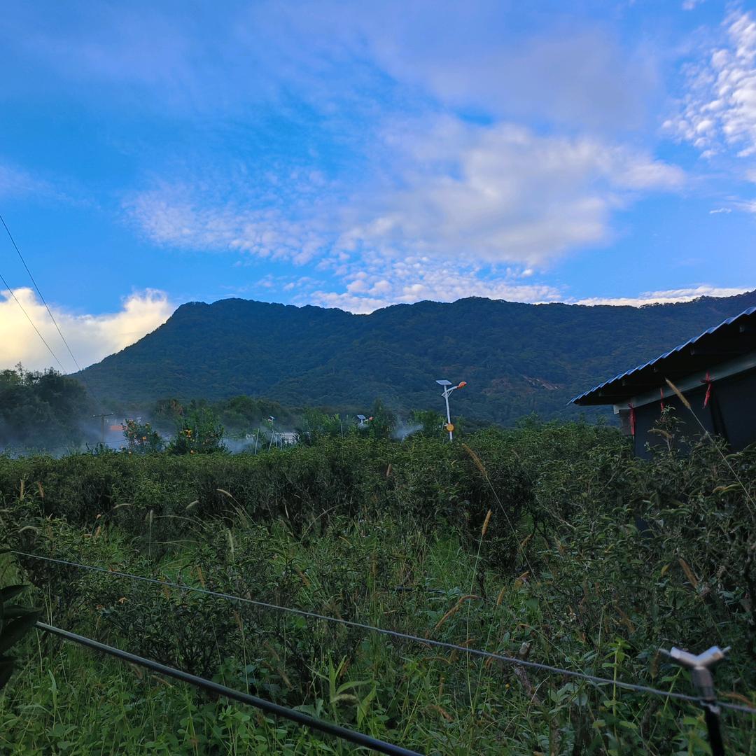 人口手 橘乡情 山石田土 环宇梦回乡愁