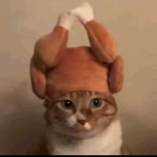 小杨