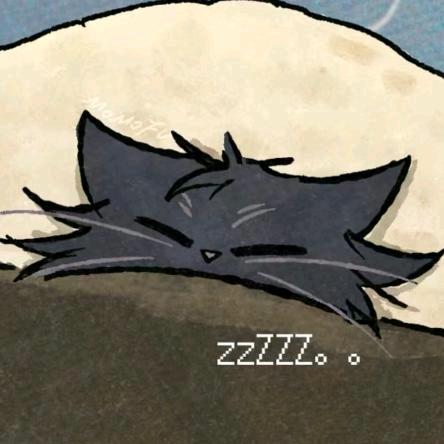 夜猫啊