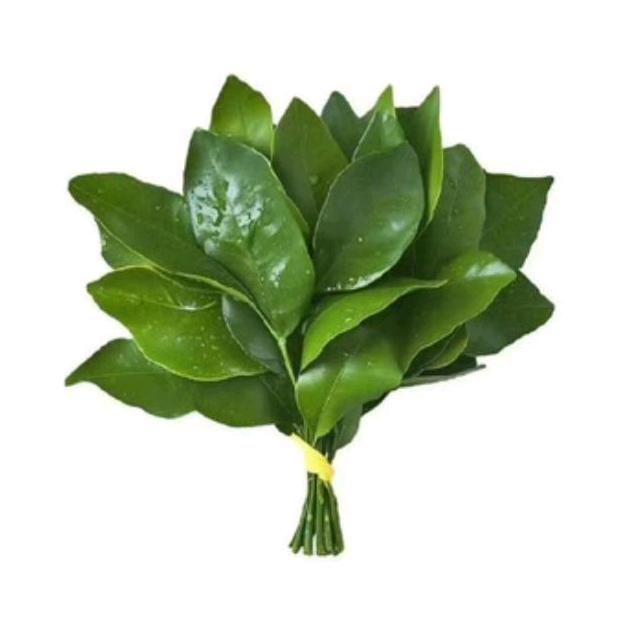 姜撞奶茶🍀💫